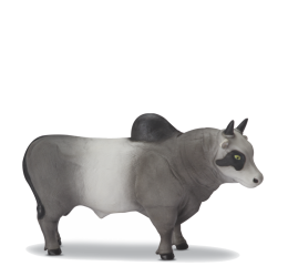 TOURO VINIL SORT. 29CM 481